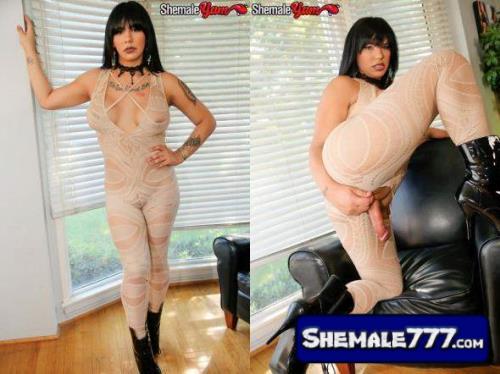 Shemale Sexy Leggings - Download SheMaleYum: Gyitana - Sexy Curvy Gyitana Jacks Off ...